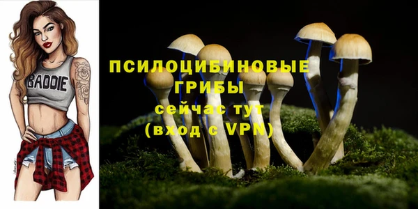 ECSTASY Алзамай