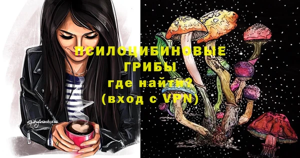ECSTASY Алзамай