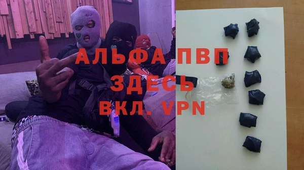 ECSTASY Алзамай