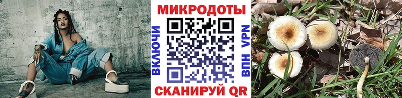 где купить наркоту  OMG ТОР  Псилоцибиновые грибы Magic Shrooms  Апрелевка 